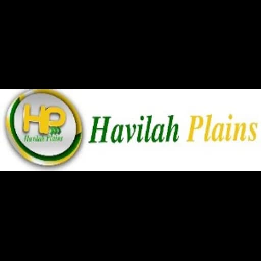 Accra - Havilah Plains Ltd. (Accra, Head Office) logo
