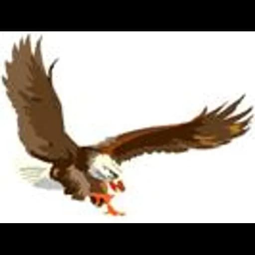 Douala - Eagle Cameroun (Douala, Head Office) logo