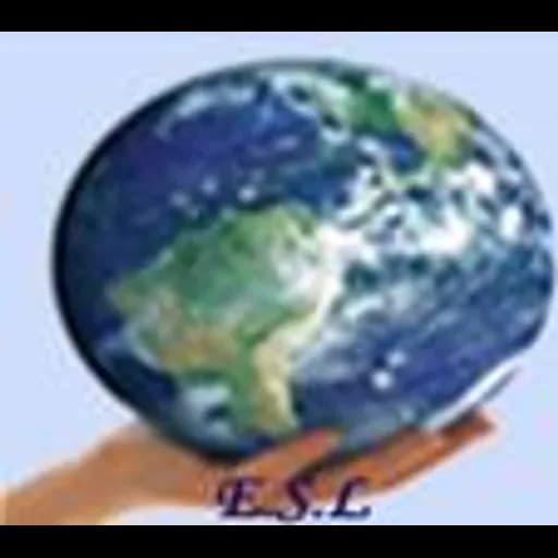 Abidjan - Elohim Shipping Limited (Abidjan, Head Office) logo