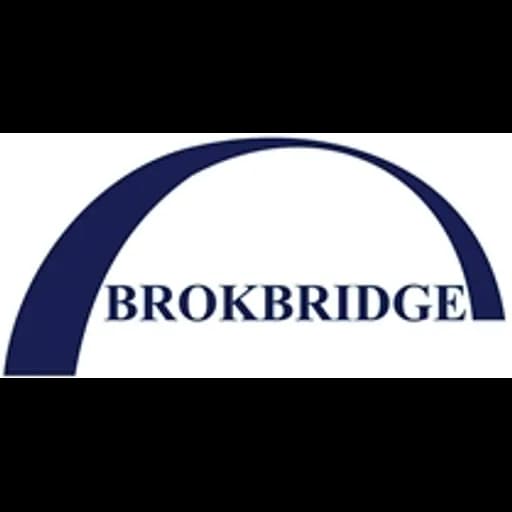 Kyiv - Brokbridge LLC (Kyiv, Head Office - Administrative support provided by BROKBRIDGE LTD) logo