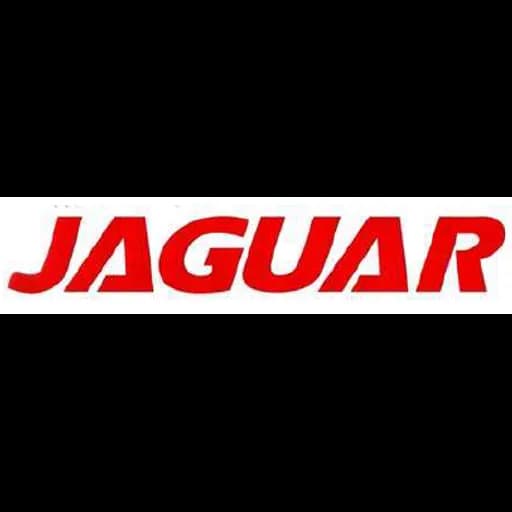 Penang - Jaguar Airfreight (M) Sdn. Bhd. (Penang, Head Office) logo