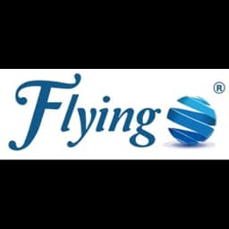 Port Klang - Flyingo Express Lines (M) Sdn. Bhd. (Port Klang, Head Office) logo