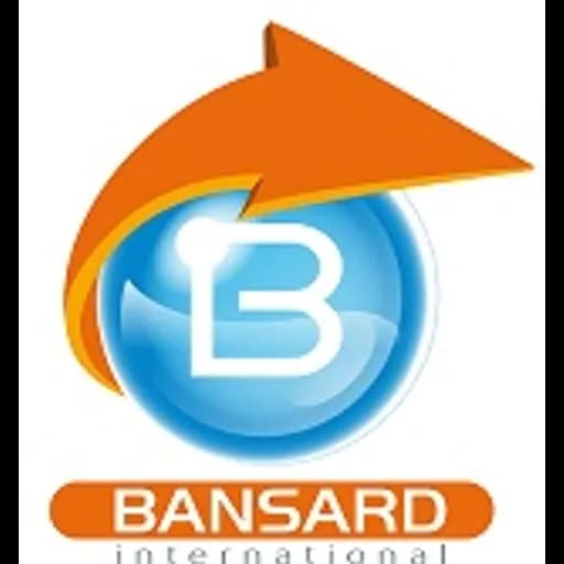 Strasbourg - Bansard International (Strasbourg) logo