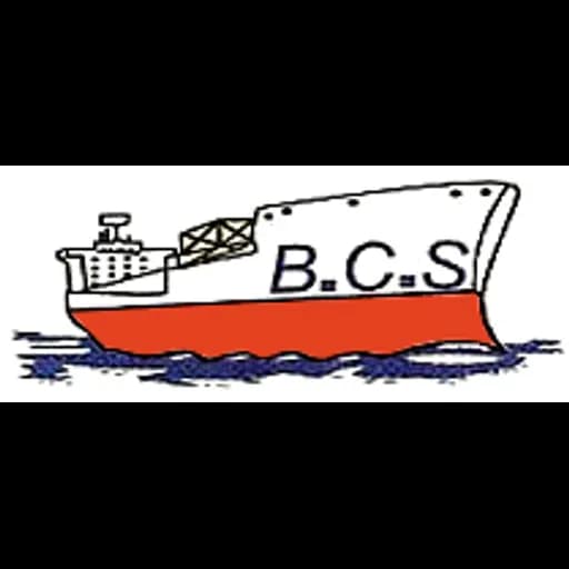 Dammam - Bluemax Logistics (Bluemax Cargo Services) (Dammam, Head Office) logo