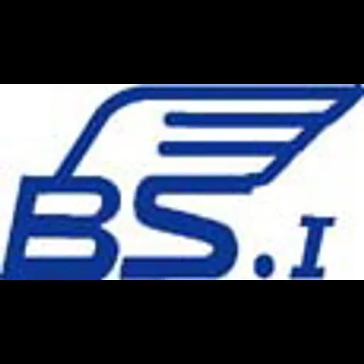 Hong Kong - BSI Logistics Limited (Hong Kong, Head Office) logo