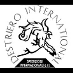 Cardano AL Campo - Destriero International S.r.L. (Cardano al Campo, Head Office) logo