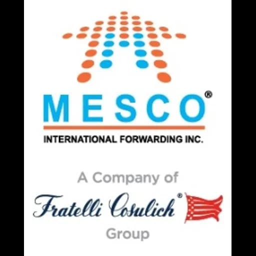 Istanbul - Mesco International Forwarding Inc. (Istanbul) logo