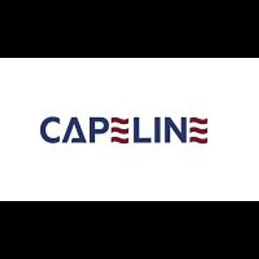 Dubai - Capeline Shipping LLC (Head Office) logo
