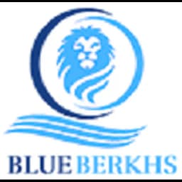 Dubai - Blue Berkhs Shipping L.L.C. (Dubai) logo