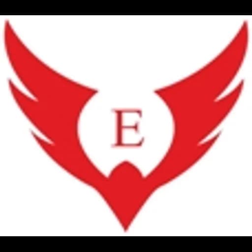 Dubai - Eagle Shipping L.L.C. - Dubai branch logo