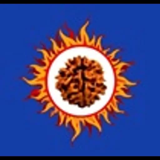 Chennai - Vrrddhi Freight Pvt. Ltd. (Chennai, Head Office) logo