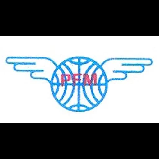 New Delhi - Prakash Freight Movers Limited (New Delhi, Head Office) logo