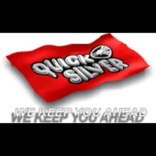 New Delhi - Quick Silver Freight Systems Pvt. Ltd. (New Delhi, Head Office) logo