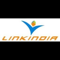 Chennai - Linkindia Logistics Private Limited (Chennai) logo