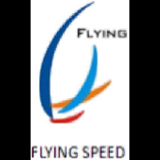 Qingdao - Qingdao Flying Speed World Wide Logistics Co., Ltd. (Qingdao, Head Office) logo