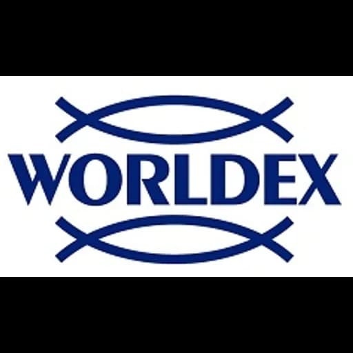 Qingdao - Worldex International Logistics Qingdao Co., Ltd. (Qingdao, Head Office) logo