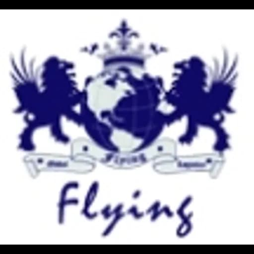 Shanghai - Shanghai Flying International Logistics Co., Ltd (Shanghai, Head Office) logo