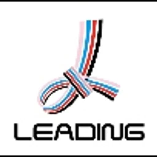 Shanghai - Shanghai Leading International Logistics Co., Ltd. (Shanghai, Head Office)
(Formerly known as Shanghai Leading International Logistics Ltd) logo