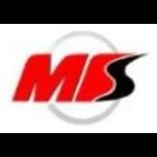 Shanghai - Shanghai MFS International Forwarder Co., Ltd. (Shanghai, Head Office) logo