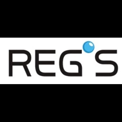 Shanghai - Shanghai Seastar International Freight Forwarding Co., Ltd. (Shanghai, Head Office) logo