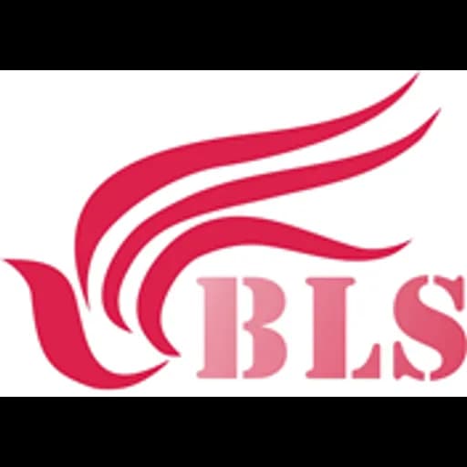 Shenzhen - Best Logistics Solutions Co., Ltd. (Shenzhen, Head Office) logo