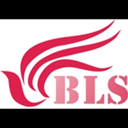 Shenzhen - Best Logistics Solutions Co., Ltd. (Shenzhen, Head Office) logo