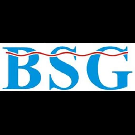 Shenzhen - Best Shipping Company Limited (Shenzhen, Head Office) logo