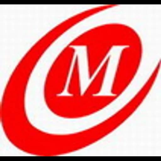 Shenzhen - Millennium Logistics (Shenzhen) Ltd (Shenzhen, Head Office) logo