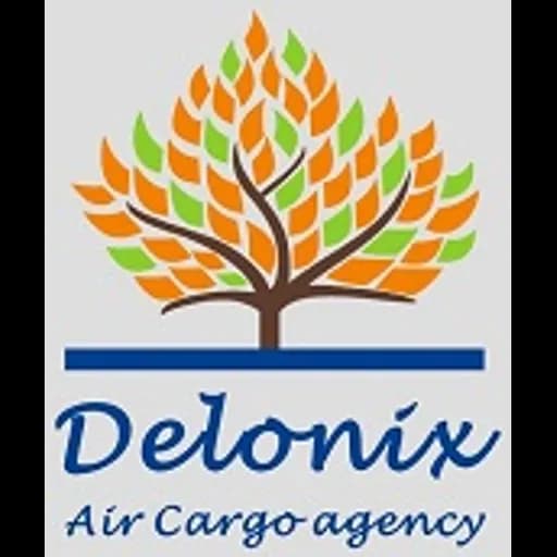 Shenzhen - Shenzhen Delonix Freight Limited (Shenzhen, Head Office) logo