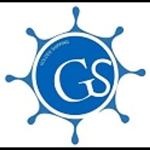 Shenzhen - Shenzhen Golden Shipping Co., Ltd. (Shenzhen, Head Office) logo