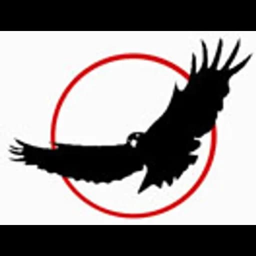 Shenzhen - Shenzhen Shining Ocean International Logistics Co., Ltd. (Shenzhen, Head Office) logo