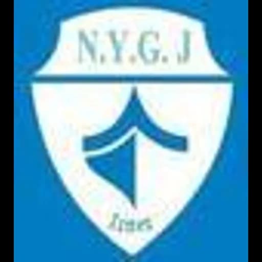 Wuhan - Hubei Noah International Logistics Co., Ltd. (Wuhan, Head Office) logo