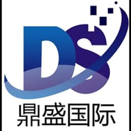 Xi'an - Shaanxi Dingsheng Zhiyue Technology Logistics Group Co., Ltd. (Xi'an, Head Office) logo