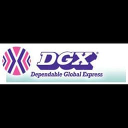Shanghai - DGX (Shanghai) logo
