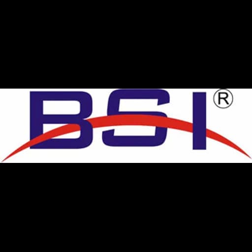 Zhongshan - Best Services International Freight Ltd. (Zhongshan) logo