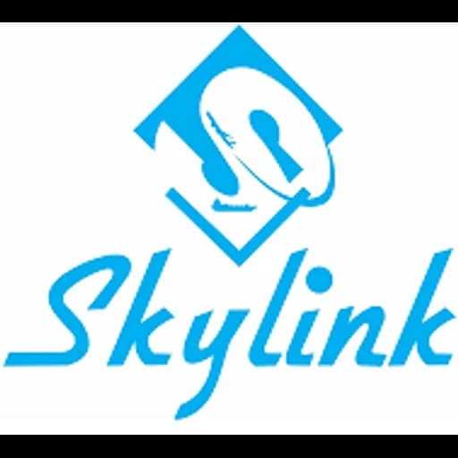 Mumbai - Skylink Freight Forwarders Pvt. Ltd. (Mumbai, Head Office) logo