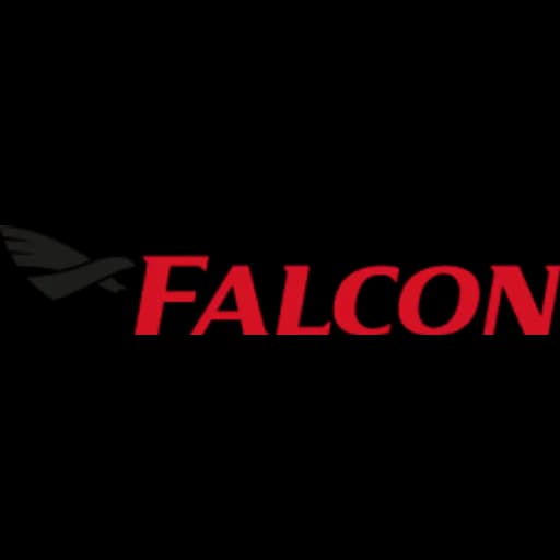 Vienna - Falcon Airfreight Speditionsgesellschaft m.b.H. (Head Office) logo