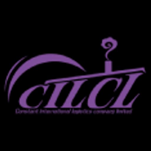 Ningbo - Ningbo Constant International Logistics Company Limited (Head Office) logo