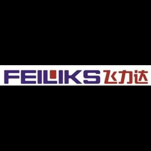 Shanghai - Jiangsu Feiliks International Logistics Inc. Shanghai branch (Shanghai) logo