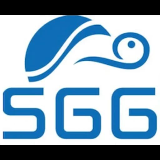 Shenzhen - Saint GiGi International Logistics Co., LTD (Head Office) logo