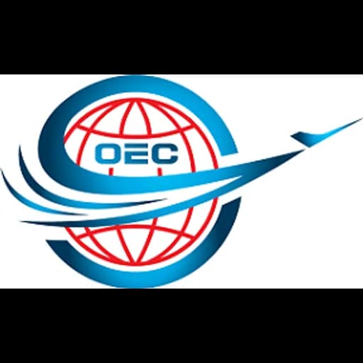 Shenzhen - Shenzhen Orion Express Company Limited (Shenzhen) logo