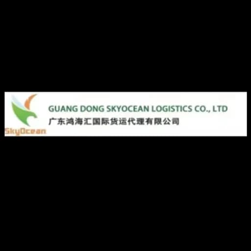 GUANG DONG SKYOCEAN LOGISTICS CO.,LTD logo