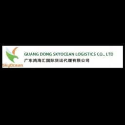 GUANG DONG SKYOCEAN LOGISTICS CO.,LTD logo