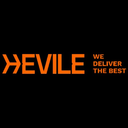 HEVILE LOGISTICA E CONSULTORIA INTERNACIONAL LTDA logo