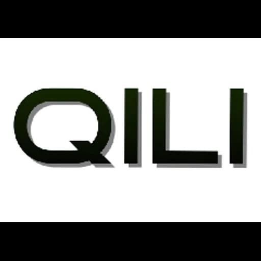 SHANGHAI QILI CARGO LINK CO., LTD logo