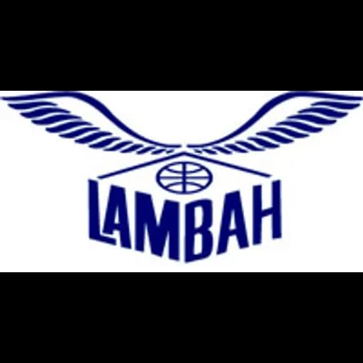 R.B.RAM NATH LAMBAH AND SONS PVT.LTD. logo