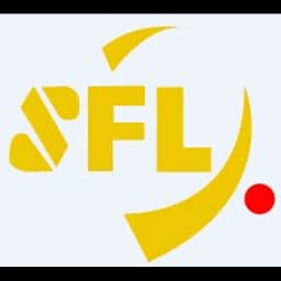 DALIAN STABLE FORTUNE INTERNATIONAL LOGISTICS CO.,LTD. logo