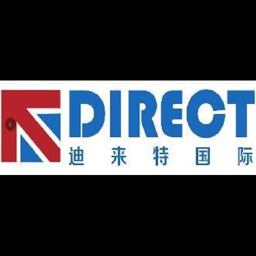 DIRECT SHIPPING INTERNATIONAL LIMITED logo
