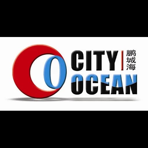 CITY OCEAN LOGISTIC CO LTD logo