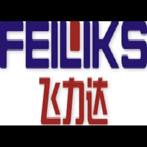 JIANGSU FEILIKS INTERNATIONAL LOGISTICS INC. logo